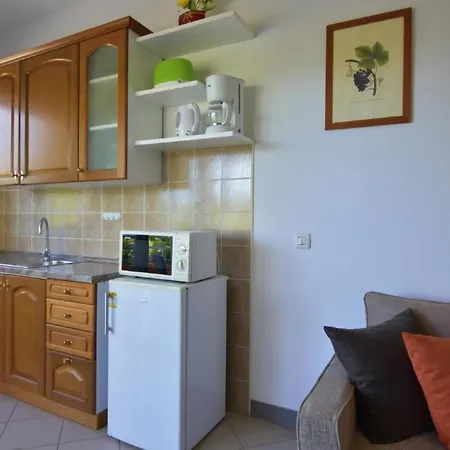Raul By Interhome Appartement Dajla