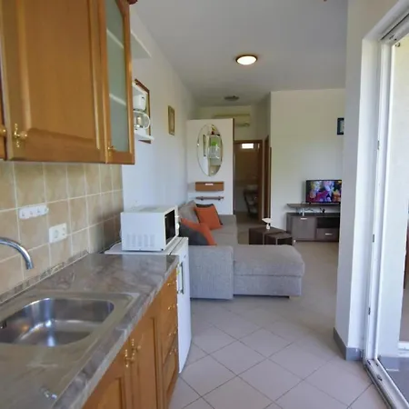 Raul By Interhome Appartement *