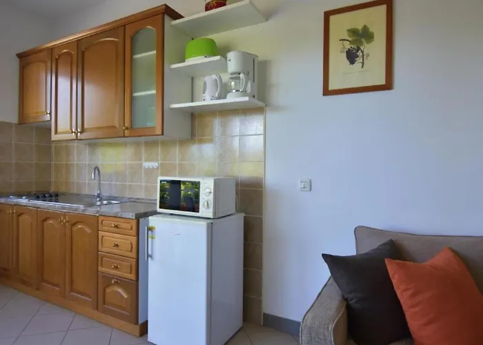Raul By Interhome Appartement Dajla