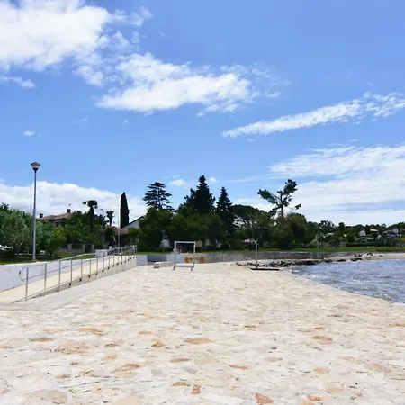 Raul By Interhome Apartment